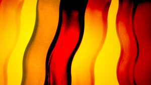 Start-up bretonnes spécialisées en numérique à Dinan