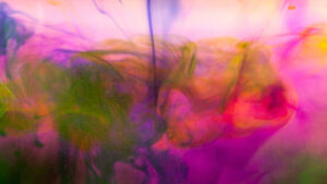 Parc technologique de Charleville, incubateur de start-up locales