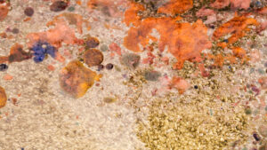 Déclin démographique dans les communes rurales de l’Eure, stratégies de revitalisation