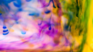 Développement du tourisme d’affaires dans les espaces naturels protégés de Lozère