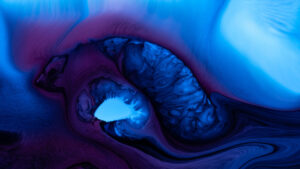 Impact économique du carnaval de Martinique – secteur culturel et tourisme