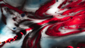 Développement du tourisme rural en Vendée et valorisation du bocage