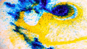 Développement de la biomasse forestière pour la production d’énergie locale en Haute-Loire