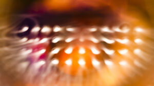 Accessibilité des gares de Meuse – adaptations pour les personnes handicapées