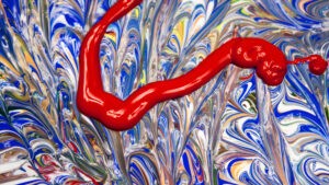 Projet de création d’un parc d’activités dédié à la santé à Châteauroux