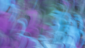 Secteur des services aux entreprises dans le Cantal – évolution et perspectives