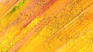 Projet de création d’un centre de ressources pour l’agriculture durable