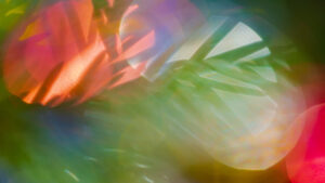 Gestion des risques d’inondations dans la vallée de l’Adour – plan d’action départemental